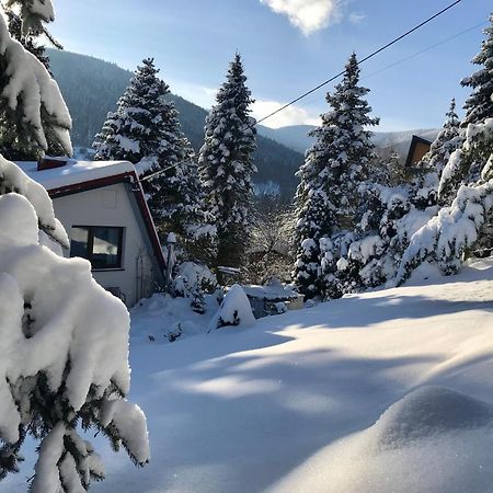 Domek Koziolek Przy Szlaku, Szyndzielnia, Klimczok, Szczyrk, Bania Bystra  Exteriér fotografie